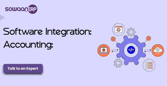 Software Integration Accounting